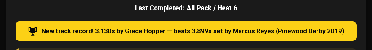 The record banner on the Timing Stats view